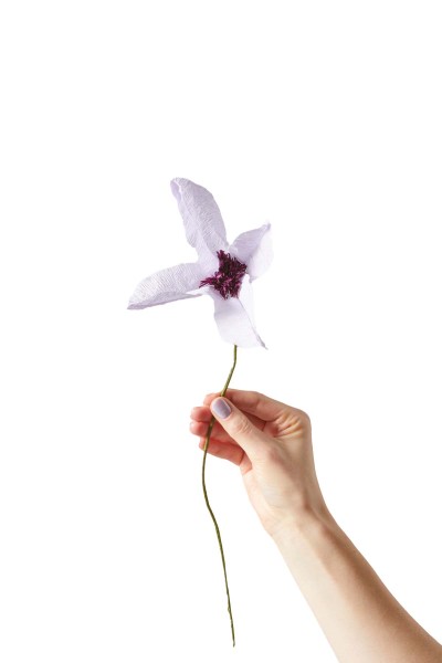 Studio About / Paper Flower CLEMATIS purple