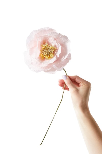 Studio About, Paper Flower ICE POPPY Rose
